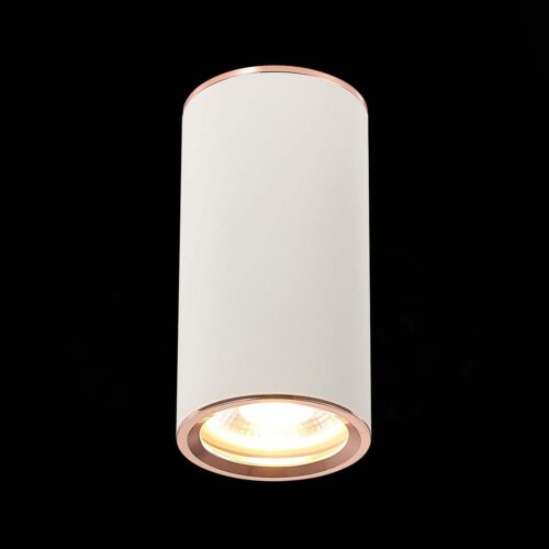Купить Потолочный светильник ST Luce Chomus ST111.527.01 по цене 420 руб.