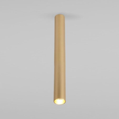 Купить Потолочный светодиодный светильник Elektrostandard Pika 25030/Led золото a061120 по цене 1200 руб.
