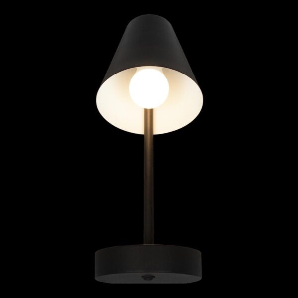 Купить Бра Loft IT Shelf 10216/1W Black по цене 2180 руб.