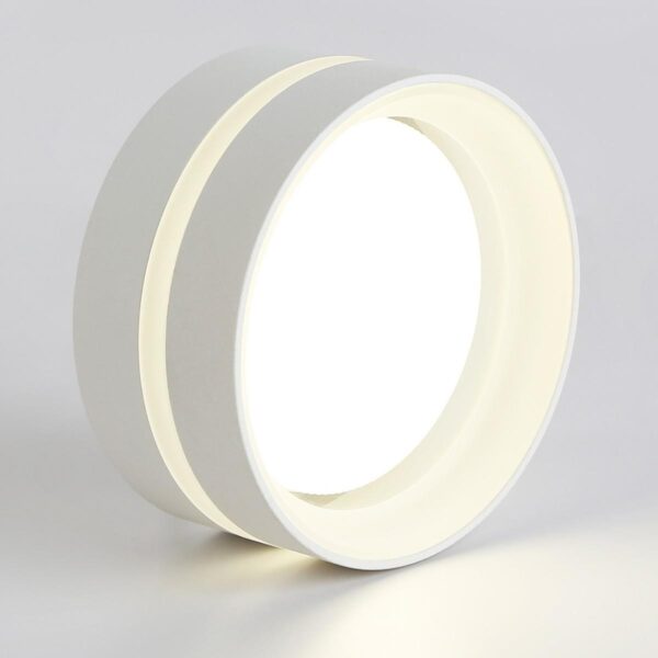 Купить Потолочный светильник Ambrella light TN5419 по цене 1970 руб.