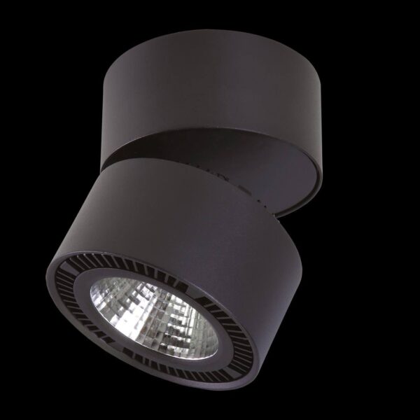 Купить Светодиодный спот Lightstar Forte Muro 213817 по цене 3999 руб.