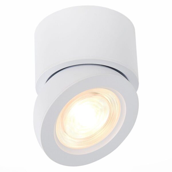 Купить Светодиодный спот ST Luce ST654.532.10 по цене 2210 руб.
