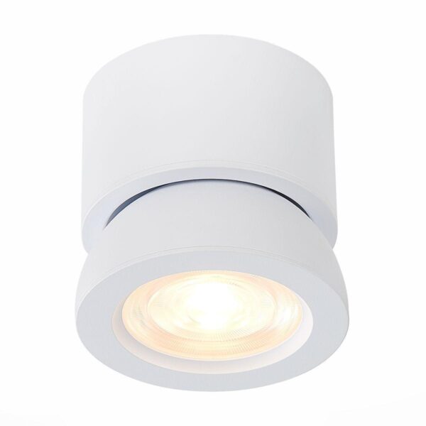 Купить Светодиодный спот ST Luce ST654.542.10 по цене 1910 руб.