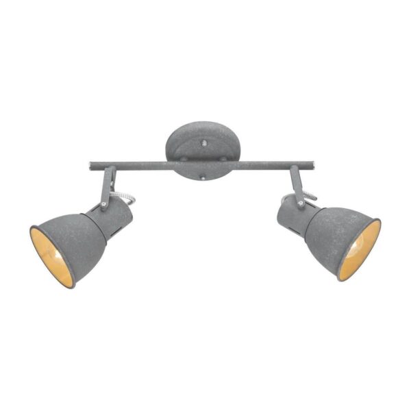 Заказать Спот Arte Lamp A1677PL-2GY с доставкой в Москве и области Купить Спот Arte Lamp A1677PL-2GY по цене 1870 руб.
