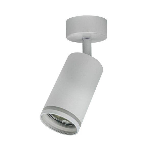 Купить Спот Brizzi Aras BR08077 по цене 1070 руб.