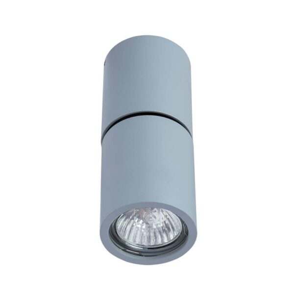 Купить Спот Divinare Gavroche Posto 1800/05 PL-1 по цене 2860 руб.