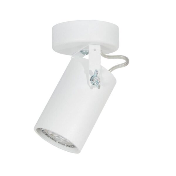 Купить Спот TopDecor Tubo6 A1 10 по цене 3960 руб.