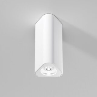 Купить Потолочный светильник Elektrostandard 25110/LED a067062 по цене 2850 руб.