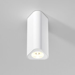 Купить Потолочный светильник Elektrostandard 25110/LED a067063 по цене 2850 руб.