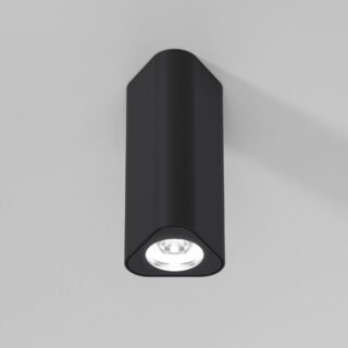 Купить Потолочный светильник Elektrostandard 25110/LED a067064 по цене 2850 руб.